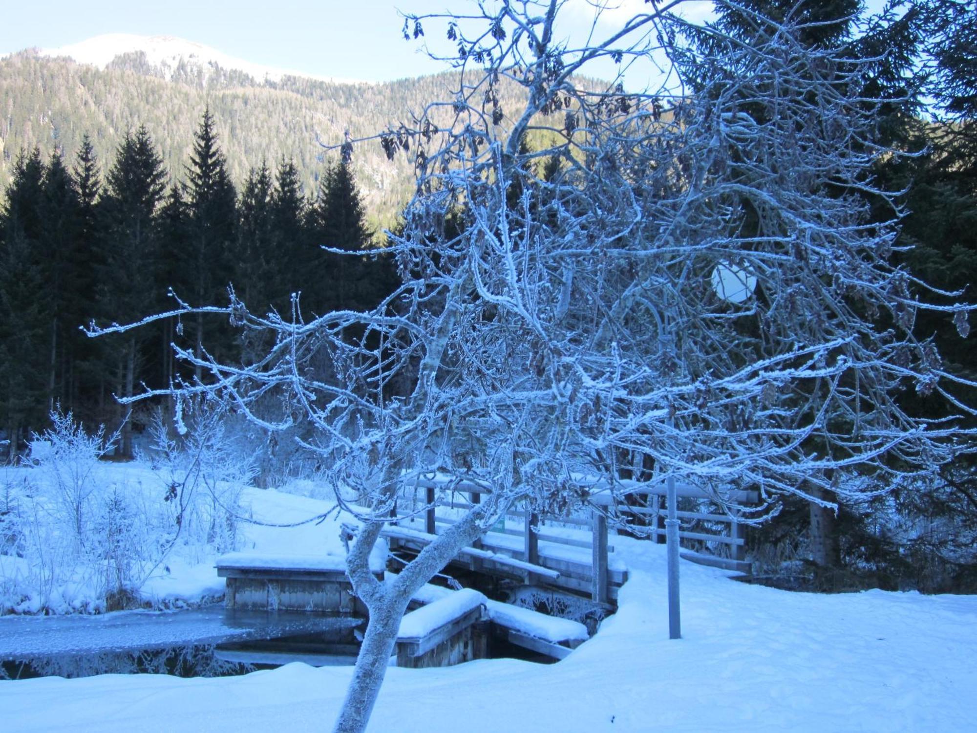 Ferienwohnung Moser Am See Мілльштатт Екстер'єр фото